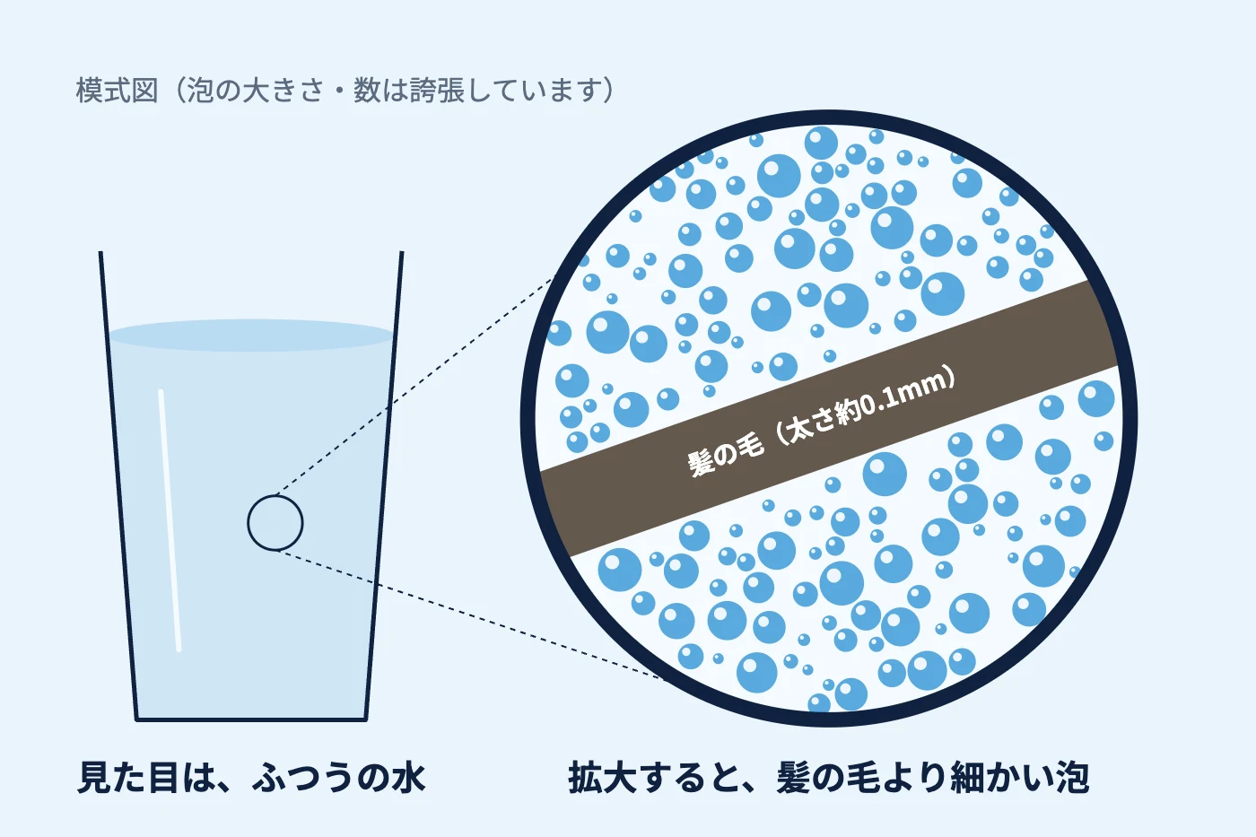 模式図。左は見た目がふつうの水の入ったコップ。その一部を虫眼鏡で拡大すると、太さ約0.1ミリの髪の毛より細かい泡がたくさん入っている